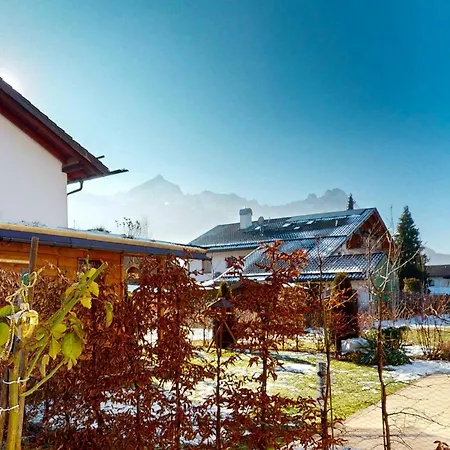 Stella Alpina *